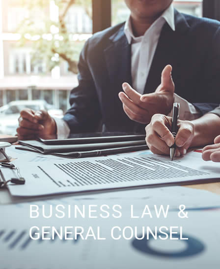 Business Law & General Counsel